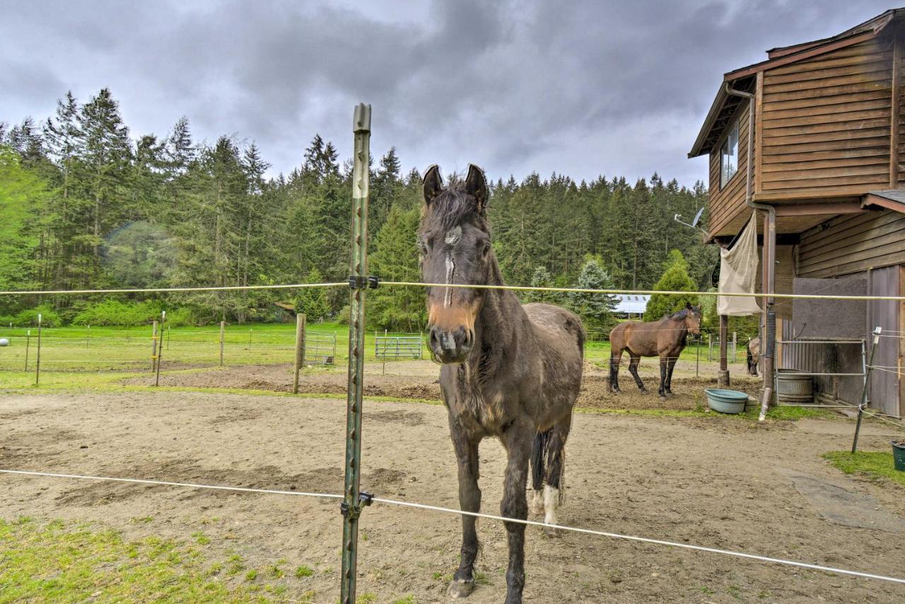 Peaceful Cabin On Horse Farm, 5 Mi To Town! Villa Port Townsend Exterior photo