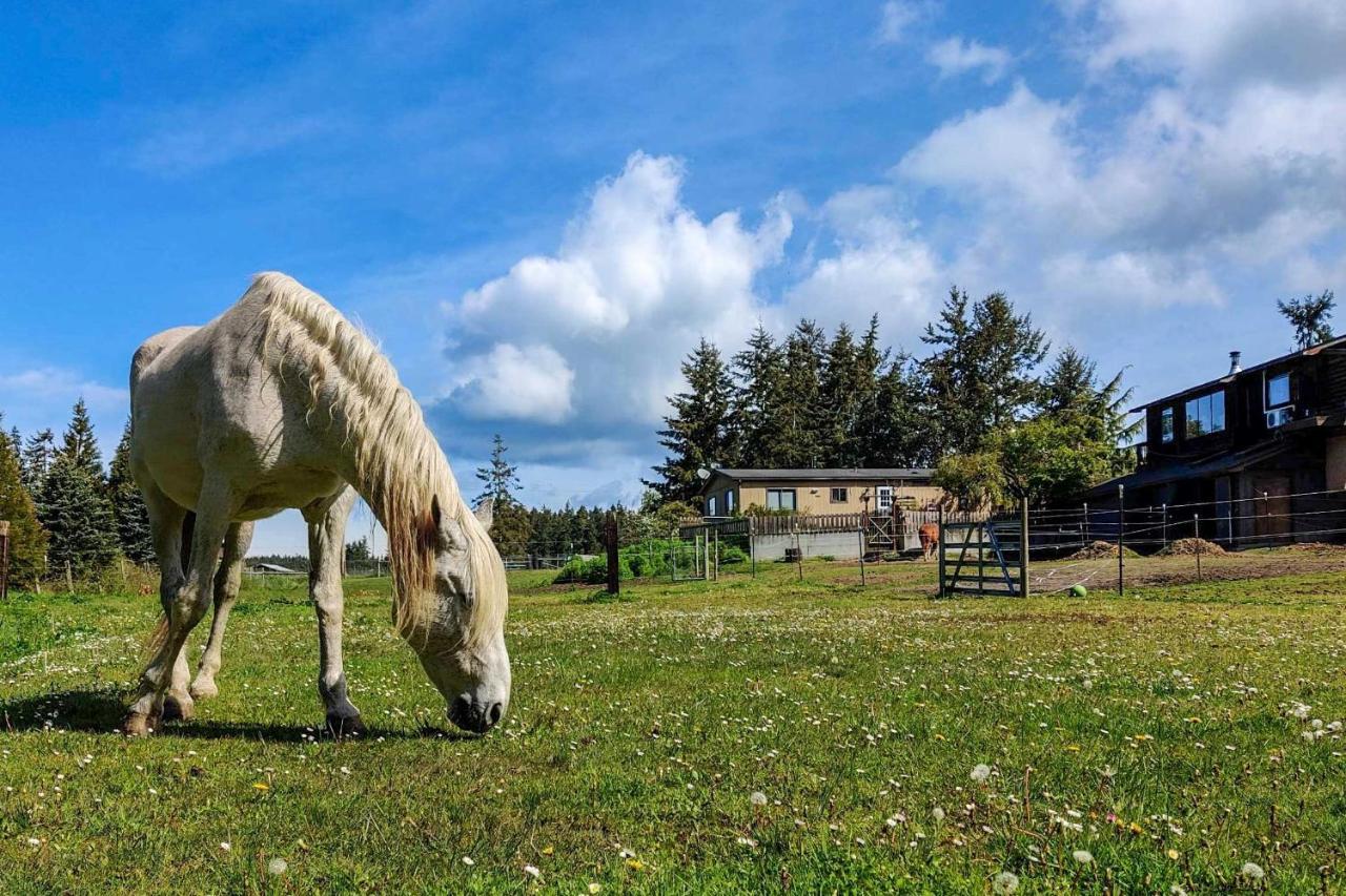 Peaceful Cabin On Horse Farm, 5 Mi To Town! Villa Port Townsend Exterior photo